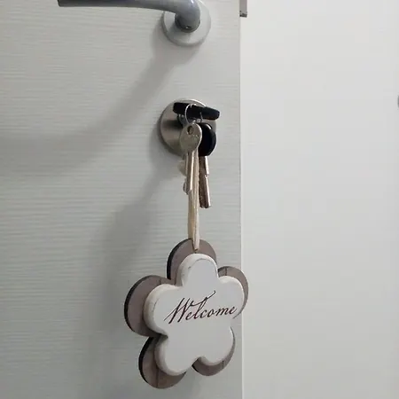 La Palmetta Civitavecchia